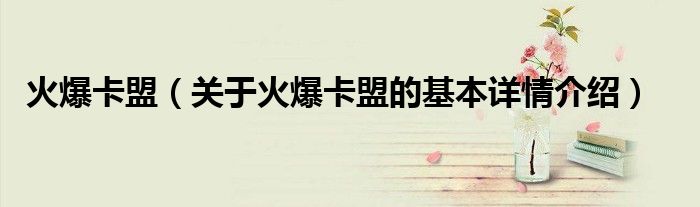 火爆卡盟（关于火爆卡盟的基本详情介绍）