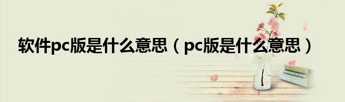 软件pc版是什么意思（pc版是什么意思）