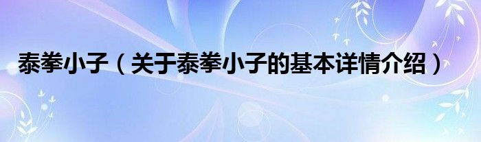 泰拳小子（关于泰拳小子的基本详情介绍）