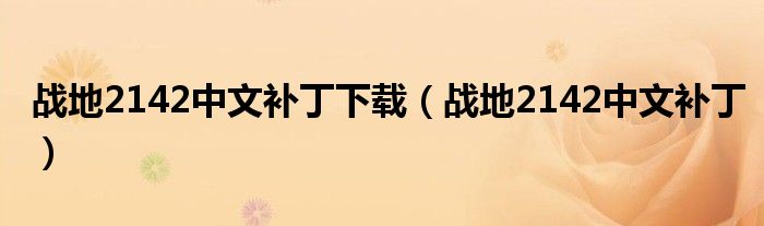 战地2142中文补丁下载（战地2142中文补丁）
