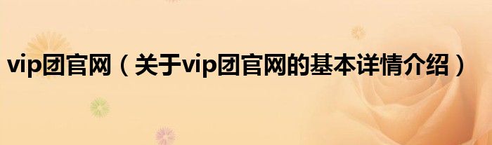 vip团官网（关于vip团官网的基本详情介绍）