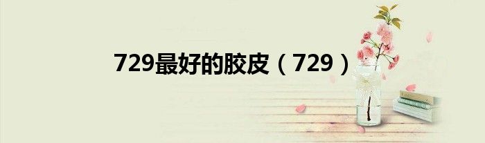 729最好的胶皮（729）