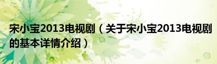 宋小宝2013电视剧（关于宋小宝2013电视剧的基本详情介绍）