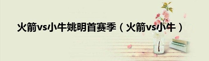 火箭vs小牛姚明首赛季（火箭vs小牛）