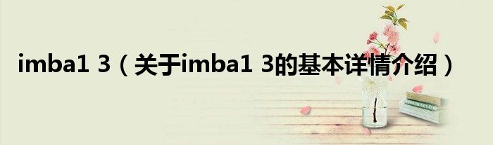 imba1 3（关于imba1 3的基本详情介绍）