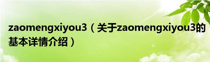 zaomengxiyou3（关于zaomengxiyou3的基本详情介绍）