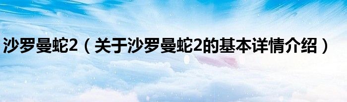 沙罗曼蛇2（关于沙罗曼蛇2的基本详情介绍）