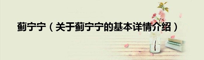 蓟宁宁（关于蓟宁宁的基本详情介绍）