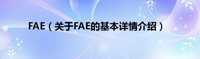 FAE（关于FAE的基本详情介绍）