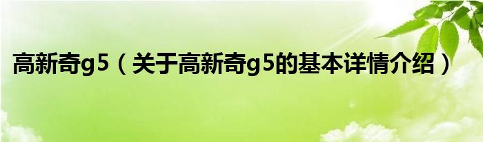 高新奇g5（关于高新奇g5的基本详情介绍）
