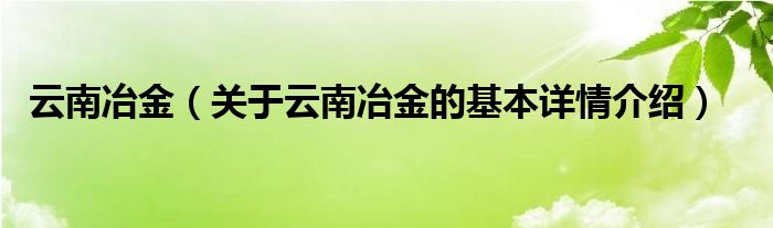 云南冶金（关于云南冶金的基本详情介绍）