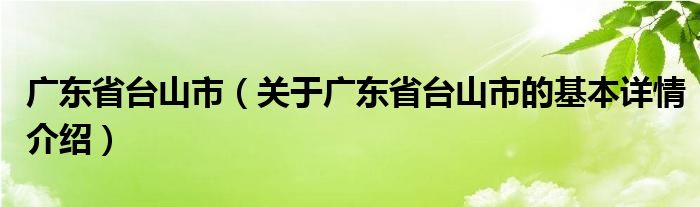 广东省台山市（关于广东省台山市的基本详情介绍）