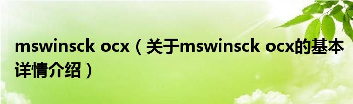 mswinsck ocx（关于mswinsck ocx的基本详情介绍）