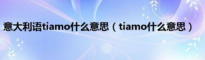 意大利语tiamo什么意思（tiamo什么意思）