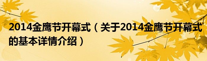2014金鹰节开幕式（关于2014金鹰节开幕式的基本详情介绍）