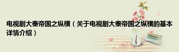 电视剧大秦帝国之纵横（关于电视剧大秦帝国之纵横的基本详情介绍）