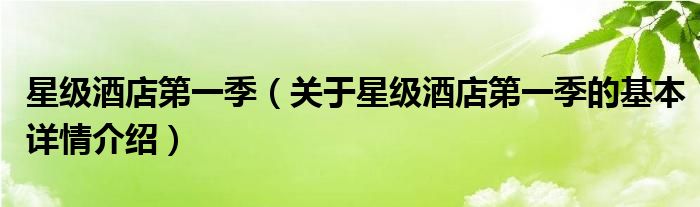 星级酒店第一季（关于星级酒店第一季的基本详情介绍）