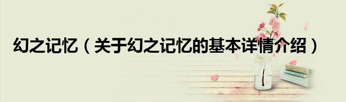 幻之记忆（关于幻之记忆的基本详情介绍）