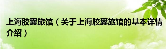 上海胶囊旅馆（关于上海胶囊旅馆的基本详情介绍）