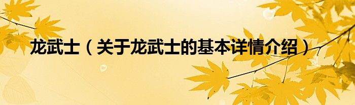 龙武士（关于龙武士的基本详情介绍）