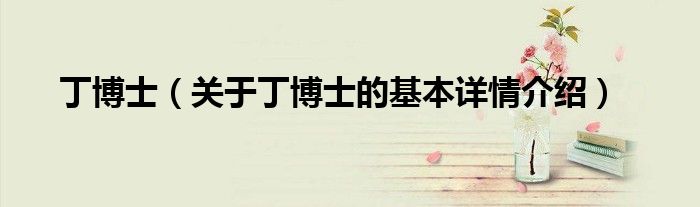 丁博士（关于丁博士的基本详情介绍）