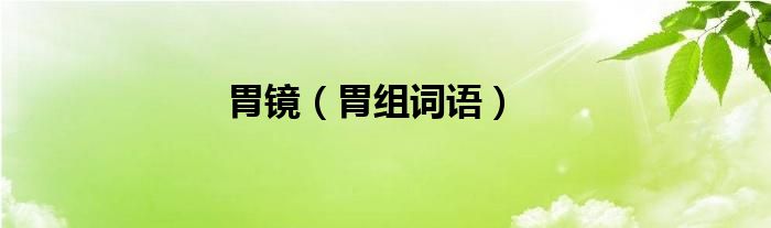 胃镜（胃组词语）