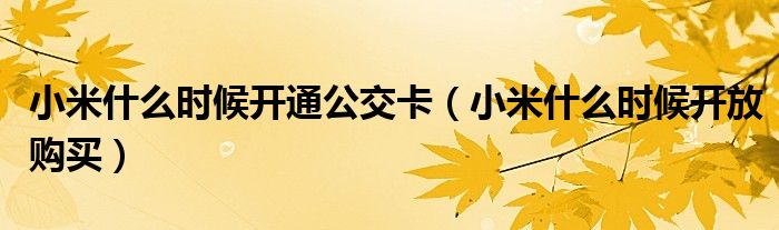 小米什么时候开通公交卡（小米什么时候开放购买）
