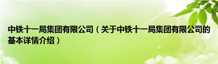 中铁十一局集团有限公司（关于中铁十一局集团有限公司的基本详情介绍）
