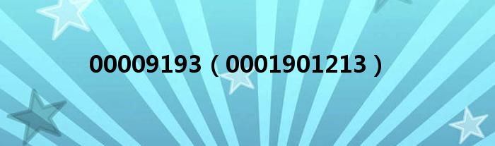 00009193（0001901213）