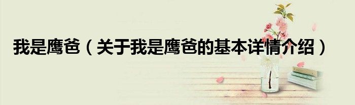 我是鹰爸（关于我是鹰爸的基本详情介绍）