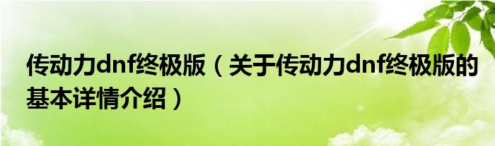 传动力dnf终极版（关于传动力dnf终极版的基本详情介绍）