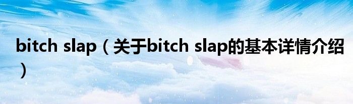 bitch slap（关于bitch slap的基本详情介绍）