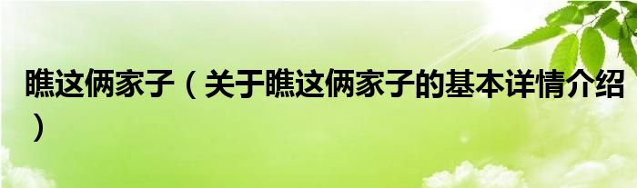 瞧这俩家子（关于瞧这俩家子的基本详情介绍）