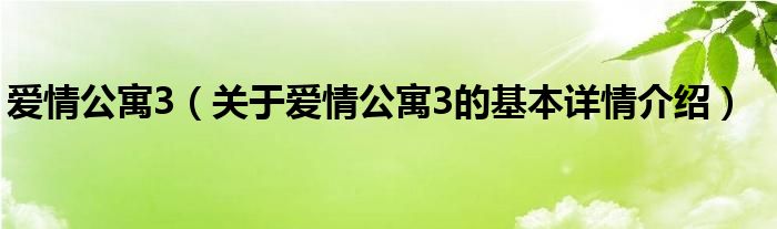 爱情公寓3（关于爱情公寓3的基本详情介绍）