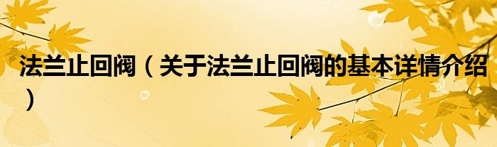 法兰止回阀（关于法兰止回阀的基本详情介绍）