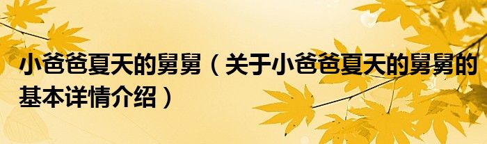 小爸爸夏天的舅舅（关于小爸爸夏天的舅舅的基本详情介绍）