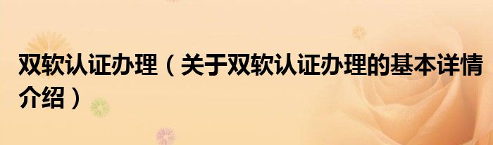 双软认证办理（关于双软认证办理的基本详情介绍）