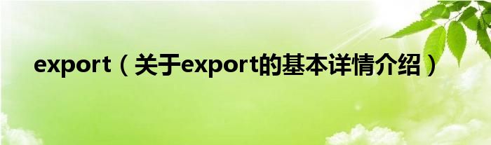 export（关于export的基本详情介绍）