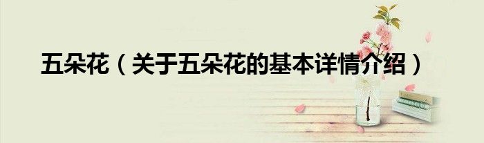 五朵花（关于五朵花的基本详情介绍）