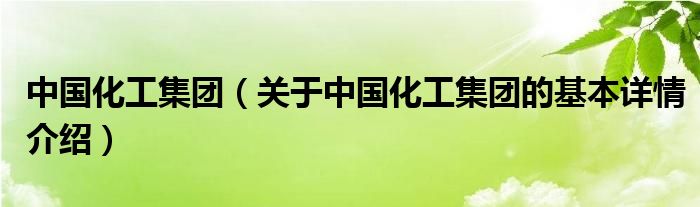 中国化工集团（关于中国化工集团的基本详情介绍）