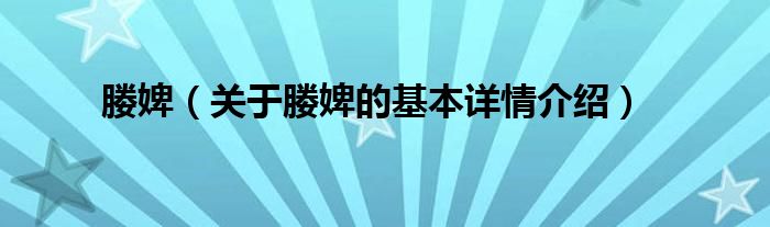 媵婢（关于媵婢的基本详情介绍）