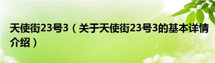 天使街23号3（关于天使街23号3的基本详情介绍）