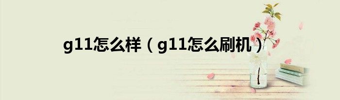 g11怎么样（g11怎么刷机）