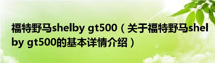 福特野马shelby gt500（关于福特野马shelby gt500的基本详情介绍）