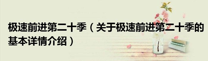 极速前进第二十季（关于极速前进第二十季的基本详情介绍）