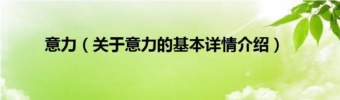 意力（关于意力的基本详情介绍）