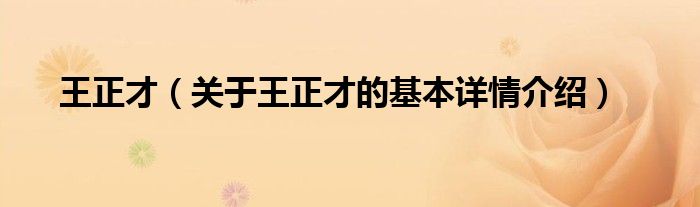 王正才（关于王正才的基本详情介绍）