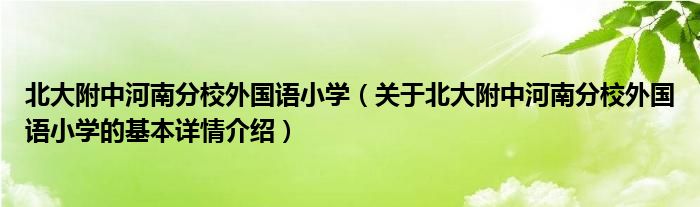 北大附中河南分校外国语小学（关于北大附中河南分校外国语小学的基本详情介绍）