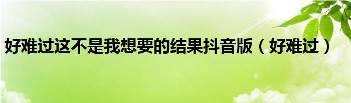 好难过这不是我想要的结果抖音版（好难过）