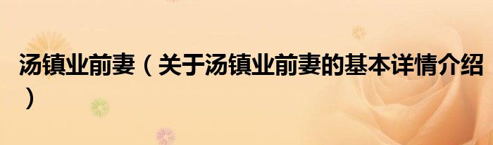 汤镇业前妻（关于汤镇业前妻的基本详情介绍）